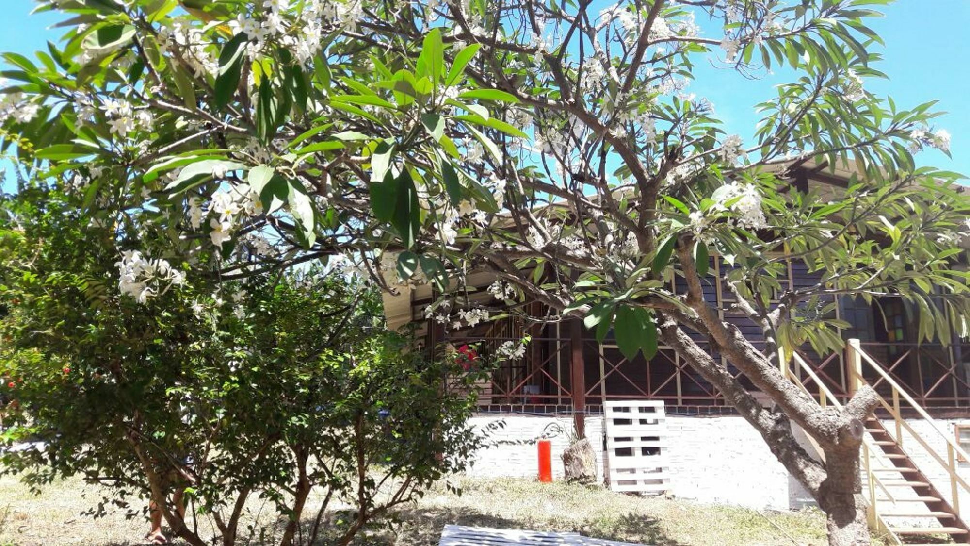 Pousada Boldró Home Fernando de Noronha Exterior foto